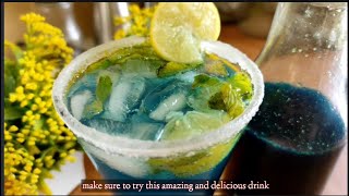 How to make Blue Curacao Syrup Recipe Homemade Blue lagoon Mocktail [upl. by Gilbertine]