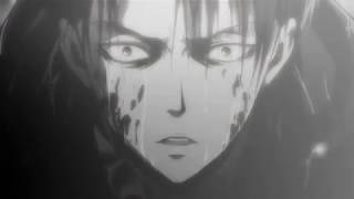 Levi Ackerman  Its Bullshit AMV [upl. by Oballa]