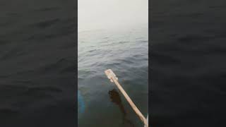 fishing fiish fish filefish relax fiahing beachfishing carpfishing fihing carp [upl. by Atin]