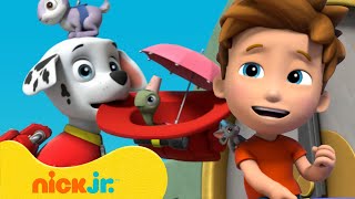 PAW Patrol Mini Patrol Adventures 🐔 10 Minute Compilation  Nick Jr [upl. by Aenej]