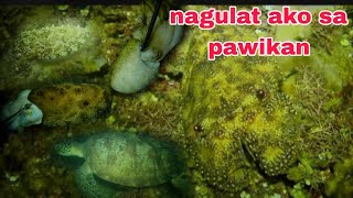 EP148 nagulat ako sa pawikan night sperfishing philippines [upl. by Cammi]