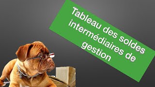 Les soldes intermédiaires de gestion  Analyser l’activité d’une entreprise  le compte de résultat [upl. by Leffen]