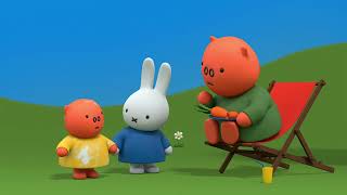 Miffy has a picnic  Miffy  Best of Miffy [upl. by Malek]