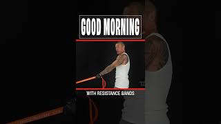 TA2 Build Advanced Good Mornings with Resistance Bands [upl. by Vaientina]