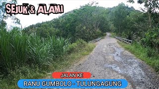 Jalan ke RANU GUMBOLO TULUNGAGUNG dari Cafe Dendy Sky View [upl. by Genovera]