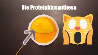 Die Proteinbiosynthese [upl. by Htevi]