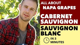 Cabernet Sauvignon amp Sauvignon Blanc  All About The Grapes from Napa amp Beyond [upl. by Sackey]