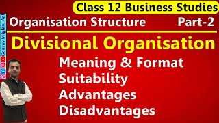 Divisional Organisation Class 12 Business Studies  Divisional Organisational Structure in Hindi [upl. by Eet]