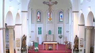 St Joseph amp Swithun Mass [upl. by Kinom547]