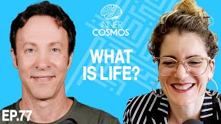 Ep 77 What is Life  INNER COSMOS WITH DAVID EAGLEMAN [upl. by Ayotnom]