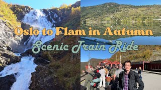 Oslo to Flam Scenic Train Ride in Autumn Worth it Watch and find out [upl. by Bergman]