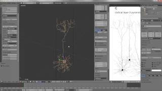 Creating Realistic Dendritic Structures with Blender [upl. by Acnairb]