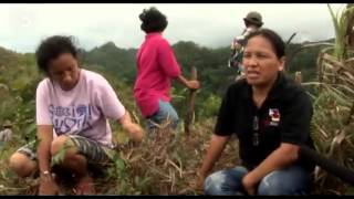 Philippines Trees vs Farmland  Global 3000 [upl. by Ade]