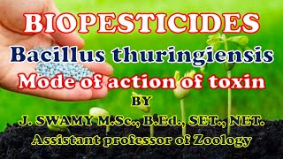 BIOPESTICIDES BACILLUS THURINGIENSIS [upl. by Caron248]