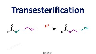 Transesterification Reaction [upl. by Akinat]