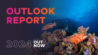 Outlook Report 2024  Discover the key findings [upl. by Selle295]