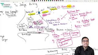 ANS cholinergic drugs Pharmacology for FMGE NEET PG By Dr Ashish [upl. by Correy]