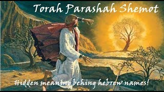 13  Torah Parashah Shemot [upl. by Astred499]