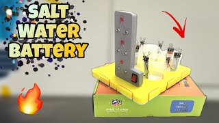 Salt Water battery Amazing project from Make amp Learn  Peephole View Toys [upl. by Leacock558]