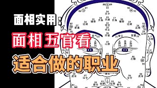 最实用的面相：面相五官来看，你最适合什么职业！ [upl. by Riegel229]