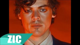 Harry Styles  She Music Video [upl. by Blackstock]