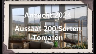 Anzucht 2024  Aussaat 200 Sorten Tomaten [upl. by Airrat651]