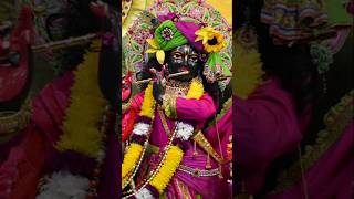 new shrikrishna bhajan status jayshrikrishna utubeshorts utubeshortstrendingshorts [upl. by Rubinstein165]