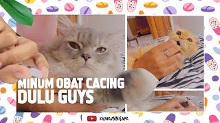 CARA MEMBERIKAN OBAT CACING DRONTAL CAT PADA KUCING [upl. by Cerf]