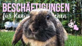 10 Beschäftigungen für Kaninchen 🐰 [upl. by Rawna]