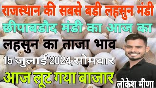 15 July 2024 छीपाबडौद मंडी लहसुन भाव  Aaj Ka Lahsun Bhav  Garlic Rate Today  Chhipabarod mandi [upl. by Atires]