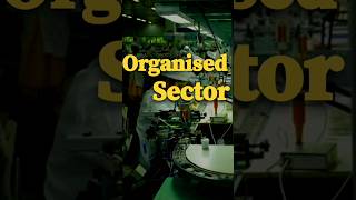 Organised sector  Sectors of Indian Economy class10 economics viralshorts [upl. by Coulombe148]