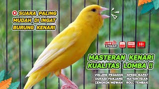 Kenari GACOR‼️ Masteran Burung Kenari PAUD dan Pancingan Kenari MACET BUNYI EPISODE 1553 [upl. by Tankoos]