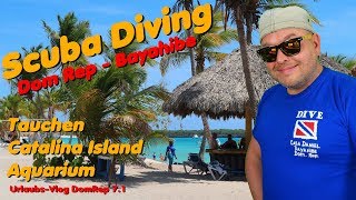 SCUBA DIVING DOM REP  Tauchen Catalina Island quotAquariumquot 🏝 Bayahibe 2019 [upl. by Robson]