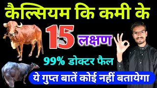 कैल्शियम की कमी के 15 लक्षण  calcium ki kami ke lakshan  symptoms of calcium deficiency in cattle [upl. by Oech424]