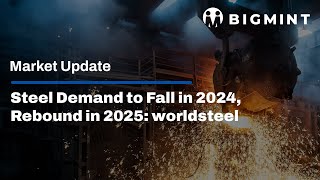 Steel Demand to Fall in 2024 Rebound in 2025 worldsteel [upl. by Annhoj]