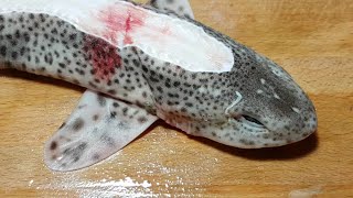 skinning dogfish  éplucher roussette [upl. by Tome]