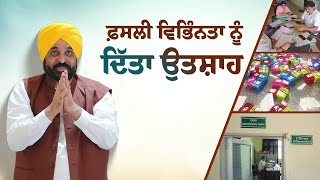 Punjab Government has provided a 50 subsidy to farmers to encourage crop diversification [upl. by Ayaros760]