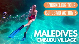 Maledives  Embudu Village  Snorkeling Tour [upl. by Etnad947]