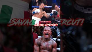 I Learned Tank Davis SAVAGE Uppercut boxing [upl. by Enuj40]