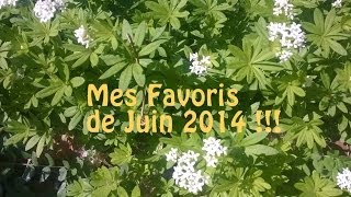 Mes Favoris de Juin 2014 [upl. by Geaghan]