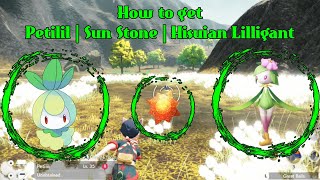 How to find Petilil Sun Stone and Hisuian Lilligant  Pokémon Legends Arceus [upl. by Ranique]