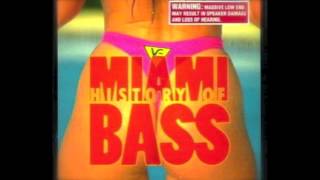 Old School Miami Booty Bass Feat 2 Live Crew Maggotron LTrimm 69 Boyz amp More [upl. by Wolsniw]