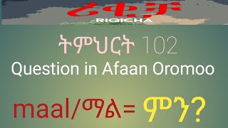 Lesson 102 Question in Afaan Oromoo maalምን [upl. by Enoob]