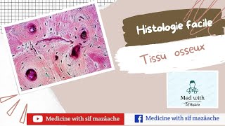 5 Le Tissu osseux  Histologie 1ère année MED [upl. by Eniawd266]