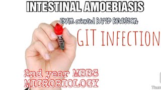 INTESTINAL AMOEBIASIS  GIT INFECTION  MICROBIOLOGY 2nd year MBBS exam oriented rapid revision [upl. by Hepsiba]