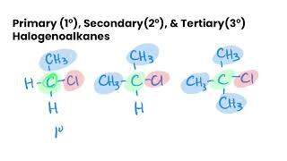 Primary Secondary amp Tertiary Alcohols Halogenoalkanes amp Amines [upl. by Cecile]