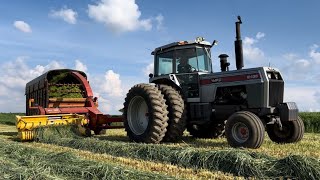 Triticale harvest It’s as tall as me Tractor troubles… [upl. by Viviana]