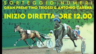 IPPODROMO CAPANNELLE SORTEGGIO NUMERI TRIOSSI E CARENA 6 NOVEMBRE 2024 [upl. by Hillie]