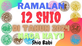 Shio Babi di Tahun 2024 [upl. by Trey]