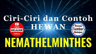 CiriCiri dan Contoh Hewan Nemathelminthes [upl. by Eiramannod]